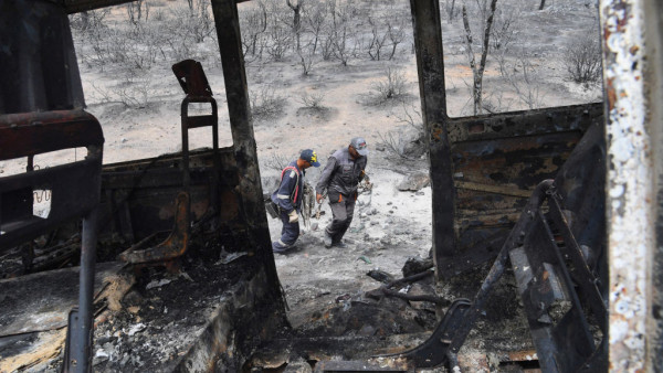 Algeria Says Wildfires Contained As Residents Keep Fleeing