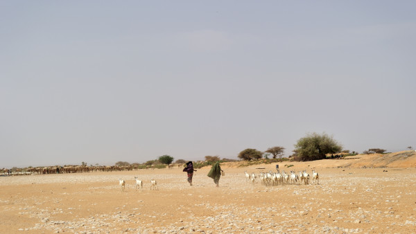 Why Somalia Is A Promising Environment For Wind Power   GettyImages 521628786 