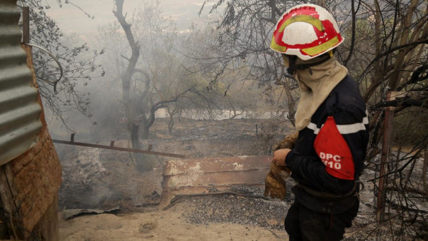 Algeria Says It Has Contained Wildfires That Killed 34