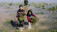 The long-term environmental toll of Israel's assault on Gaza