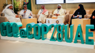 COP28: rumours grow of rift within Arab Group