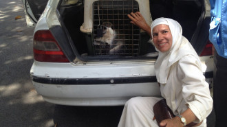 The monkey Tachtouch is pictured in a cage next to its French owner Beatrice Mauger after the recovering operations in Al Qouzah