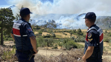 Turkey's Minister of Forestry and Agriculture said 107 fires were 'under control' [Getty]