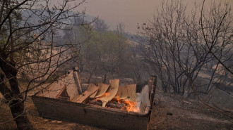 Algeria wildfires 