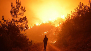 turkey wildfires -- getty