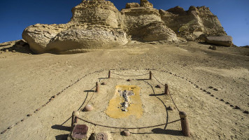 A picture taken on January 14, 2016 shows a marine organism at the Wadi el-Haitan Fossil and Climate Change Museum in Fayoum [Getty Images]