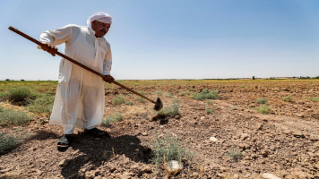 Diyala drought in Iraq