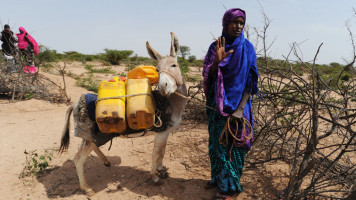 A Somali woman gestures after filling water cans tied to a donkey at a traditional cistern for harvesting rainwater, called a berkad, made by the Irish charity Concern-Worldwide as the Horn of Africa faces severe drought in Carro-Yaambo, a village 20 miles west of the capital Hargeisa, Somalia [Getty Images]