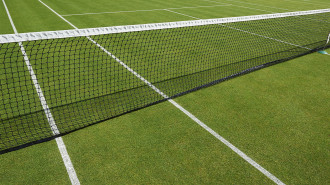 A grass tennis court