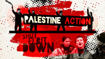 Indepth-Palestine Action