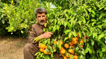 Azad farmer