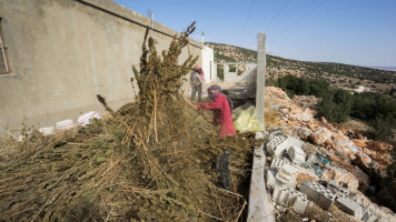 A marijuana processing warehouse in the Beqaa Valley in eastern Lebanon on November 1, 2015