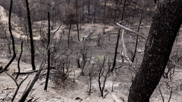 Wildfires Greece