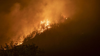 The fires have spread despite efforts to put them out from the land and the air [Anadolu/Getty]