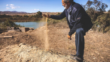 Moroccan farmers