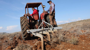 Lebanese farmers unearth fresh stream of agricultural income