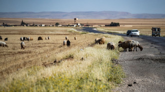 NE Syria farmers