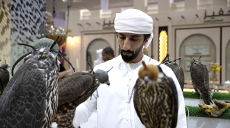 The falcon - what we know about the national bird of Qatar