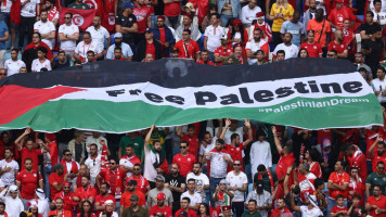 Palestine flag 