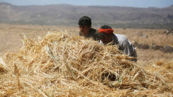 The Houthis have been accused of dispossessing Yemeni farmers [Getty File Image]