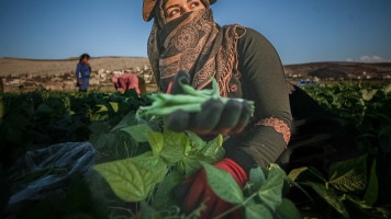 Syriamn women working