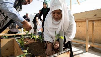 Palestinian refugees in Jordan 'green' their camps to resist