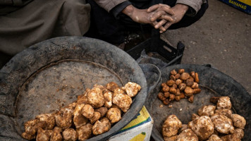 Truffle hunt 