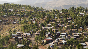 Amhara 