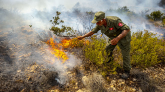 Scorching temperatures destroys Tunisia's natural resources