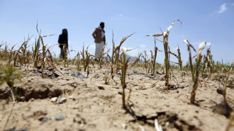 Yemen climate