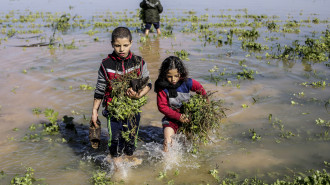 The long-term environmental toll of Israel's assault on Gaza