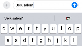 Apple iPhone users Jerusalem Palestine flag emoji prompt 