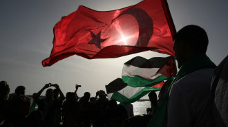 Turkish Palestinian flags