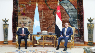 Mohamud and Sisi met in Cairo before signing the defence pact [Getty]