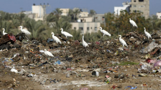 Palestinians, who fled from the Israeli army's attacks and took refuge in Deir Al Balah, look for food in the garbage dumps due to Israeli embargo imposed on the region in Deir Al Balah, Gaza