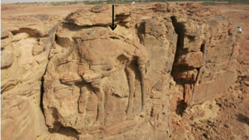 Camel rock carvings in Saudi