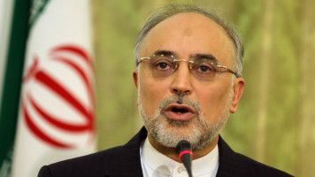 Ali Akbar Salehi -- getty