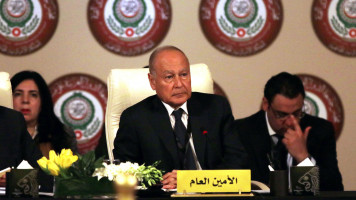 Ahmed Abul Gheit  Anadolu