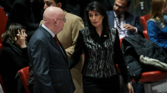 Nikki Haley and Vassily Nebenzia