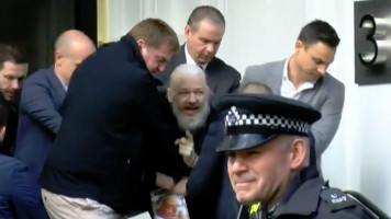 assange rubptley