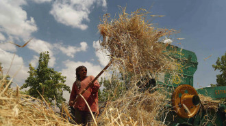 Syrian Farmer