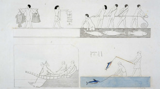 Depictions of ancient Egyptians fishing