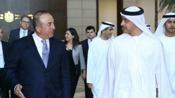 UAE and Turkish FM - Anadolu