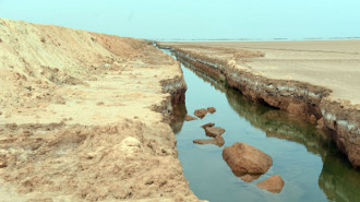 tunisia wall