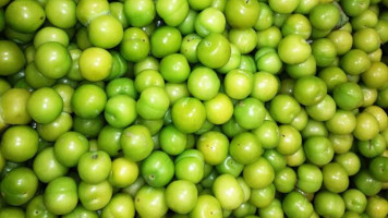 Janerik twitter