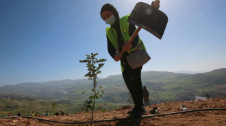 Jordan tree planting [Getty]