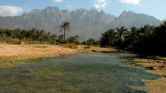 Socotra Yemen