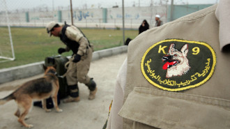 Dubai sniffer dogs [GETTY]