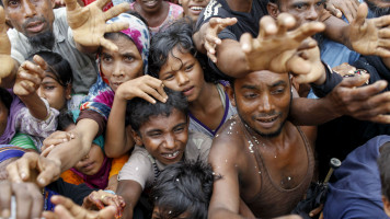 Rohingya