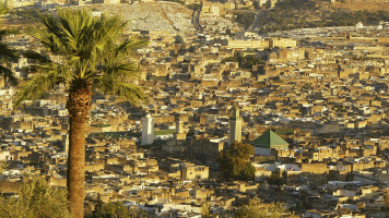 Fez GETTY